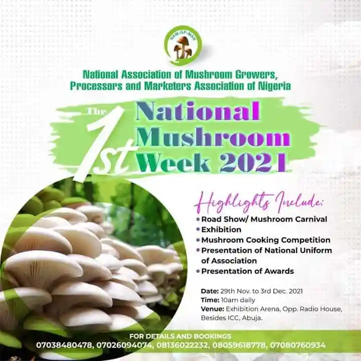 mushroom week to hold in nigeria