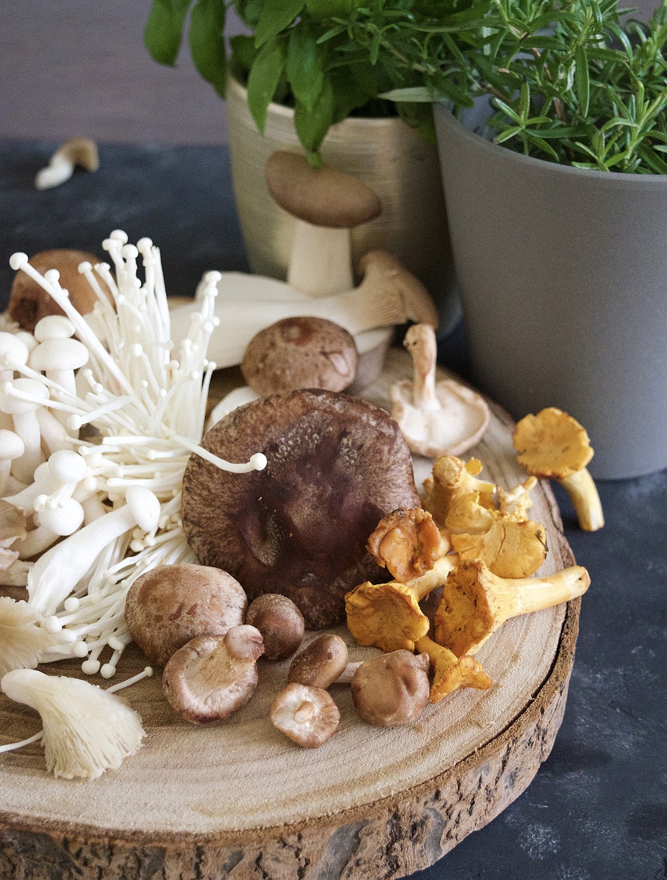 Importance of mushroom consumption