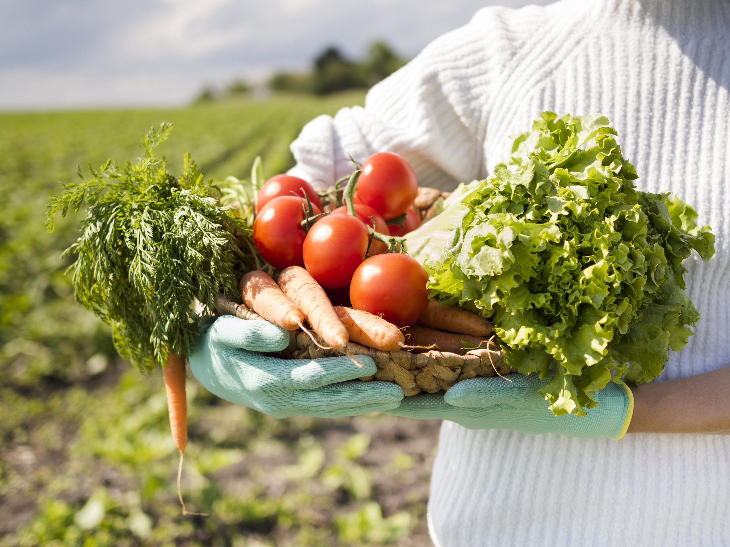 What are the advantages of subsistence farming?