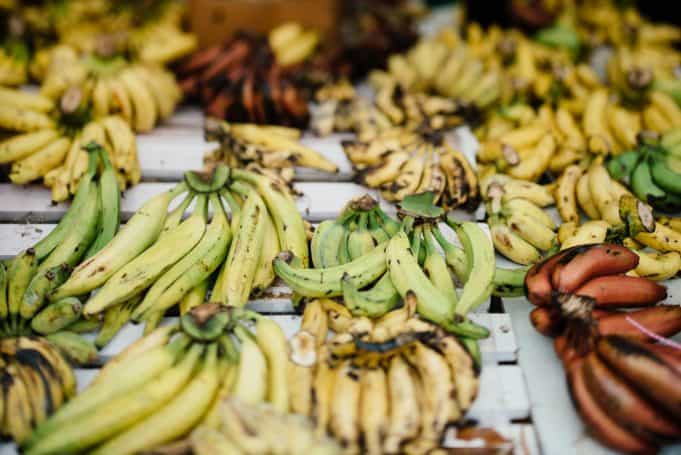 Plantains: Description, Facts, and Benefits You Don’t Know!