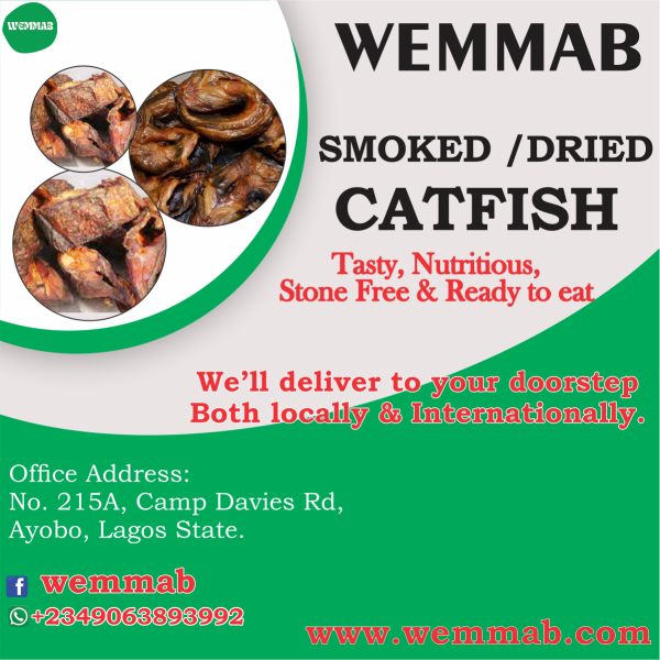 Wemmab foods dried Catfish