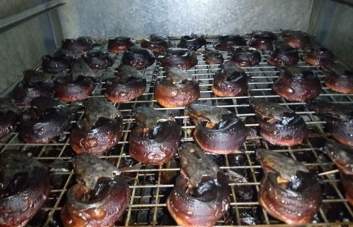 How to start smoked catfish business and how to export smoked catfish from nigeria