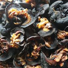 Wemmab Foods dried snails