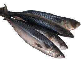 What is the most consumed fish in nigeria?
