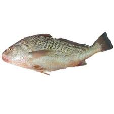 What is the most consumed fish in nigeria?