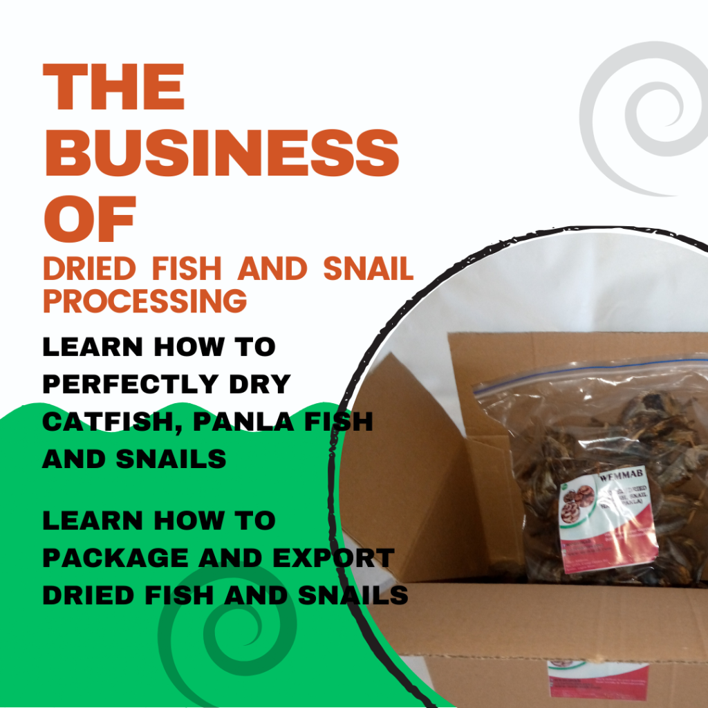 The business of dried fish and snail processing
