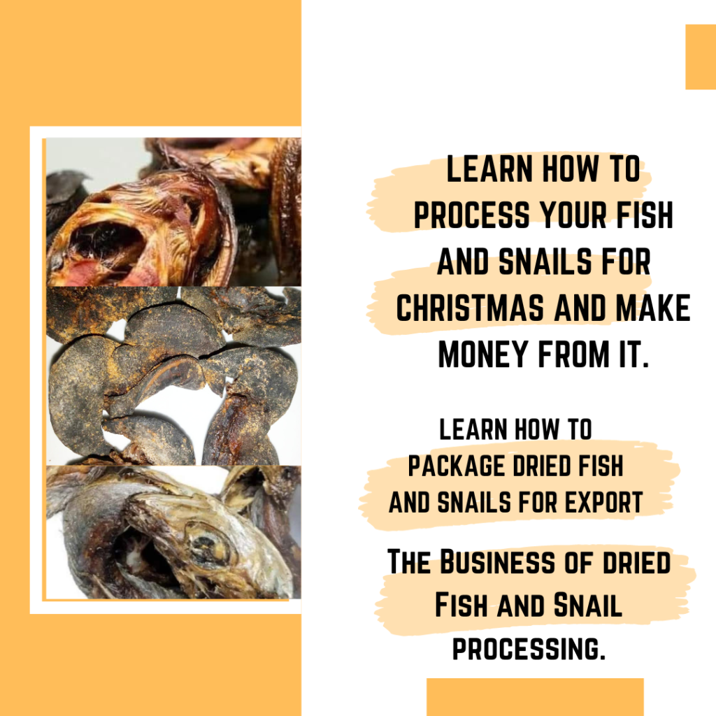 The business of dried fish and snail processing