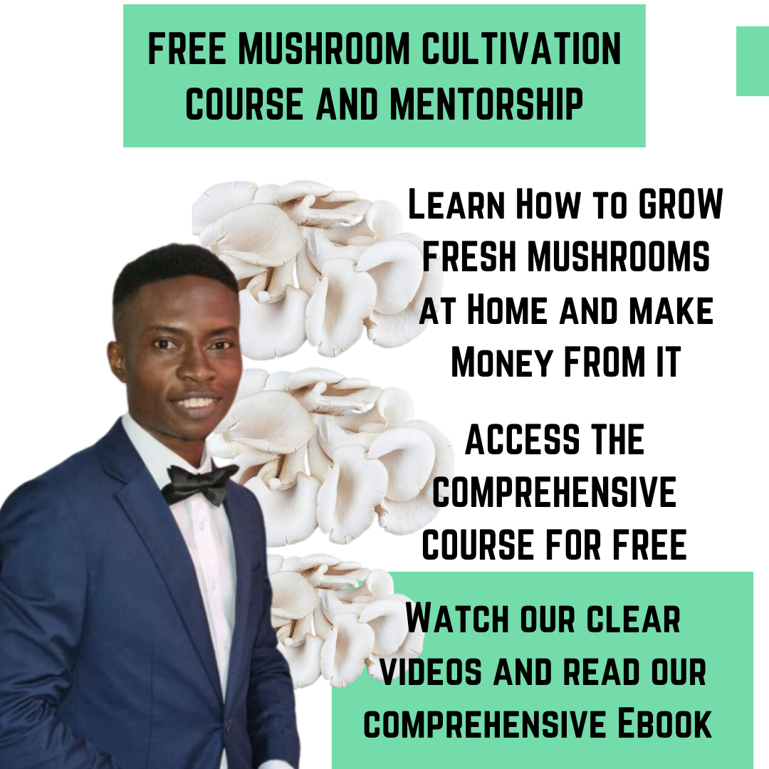 mushroom cultivation course