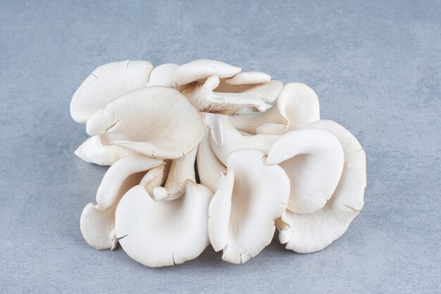 What triggers oyster mushroom fruiting?