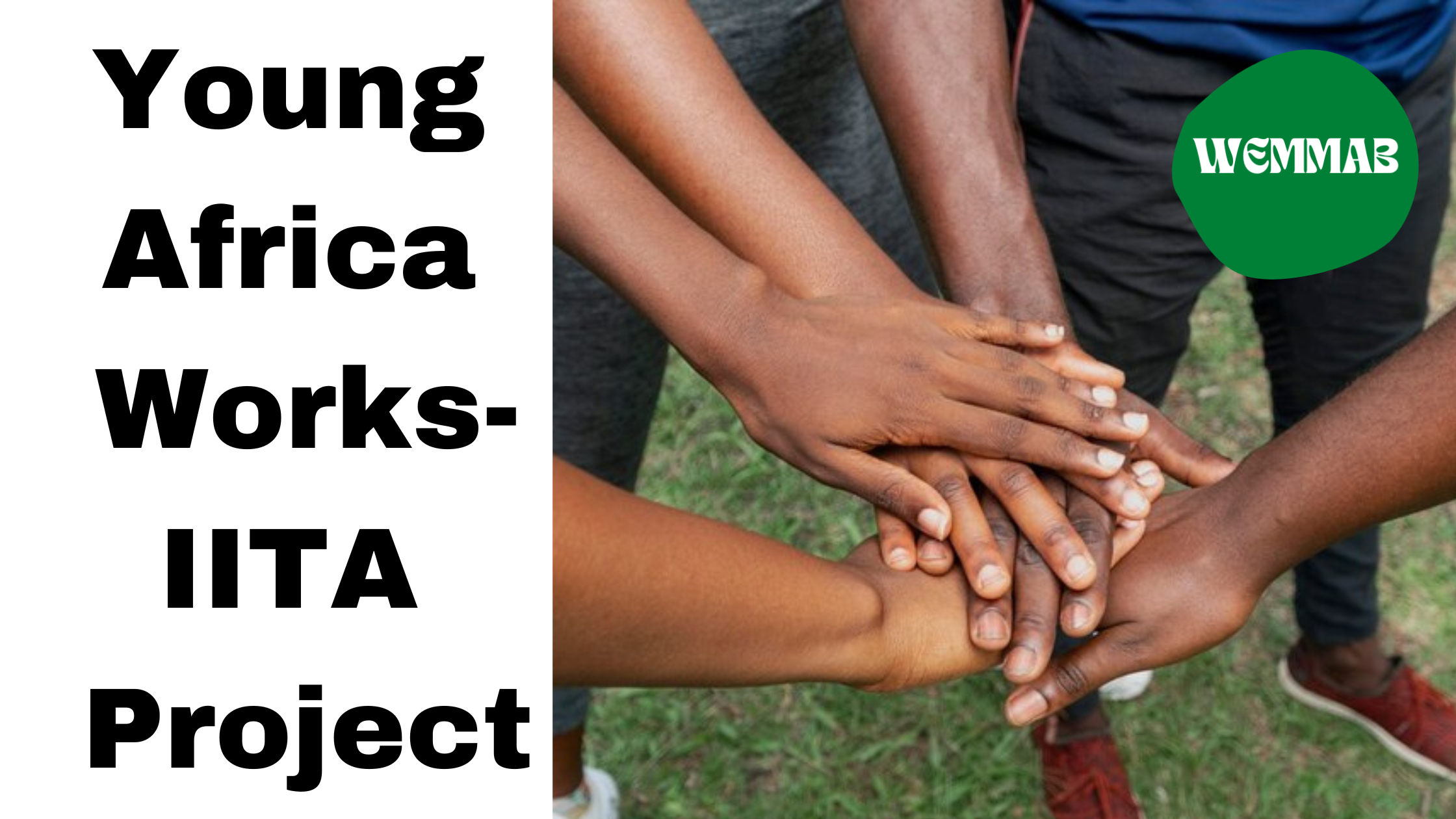 The Young Africa Works-IITA project- Employment and Entrepreneurship