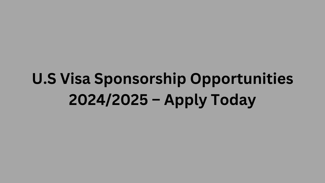 U.S Visa Sponsorship Opportunities